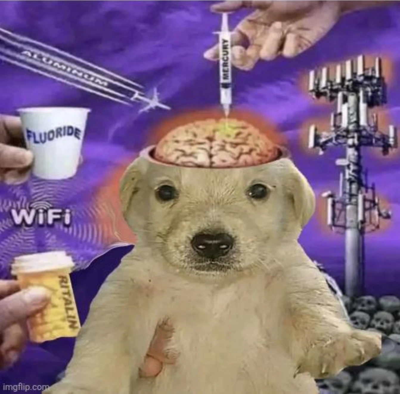 Mind Control